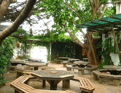 Monarch Motel Hotel - Maitland Accommodation 1