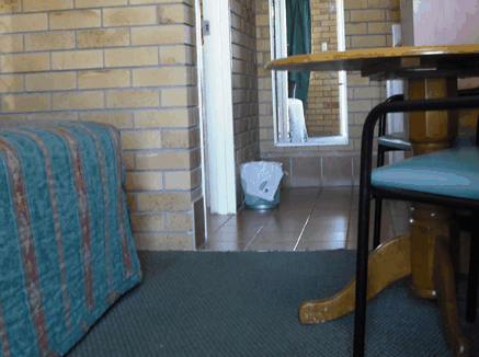 Dragon  Phoenix Motel - Maitland Accommodation