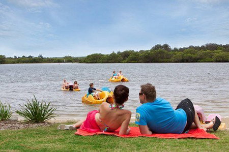 Blue Dolphin Resort & Holiday Park - Maitland Accommodation 2