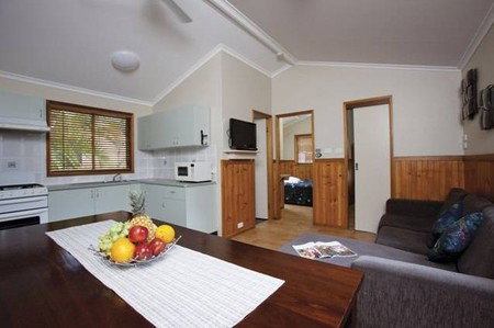 Blue Dolphin Resort & Holiday Park - Maitland Accommodation 3