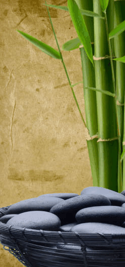 Je Suis Femme - Maitland Accommodation 3