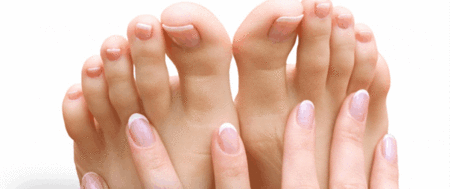 Ella Bache - Maitland Accommodation