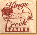 Kings Creek Station - Maitland Accommodation
