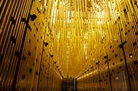 State Theatre Centre - Maitland Accommodation