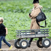 Perth City Farm Organic Markets - Maitland Accommodation