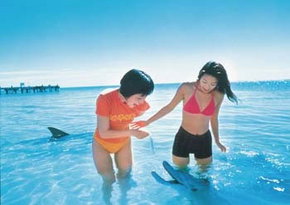 Kookaburra Air - Maitland Accommodation 0