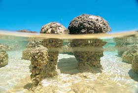 Kookaburra Air - Maitland Accommodation 2