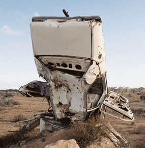 Anthony Riding Gallery - Maitland Accommodation