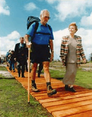 Bibbulmun Track - Maitland Accommodation 1