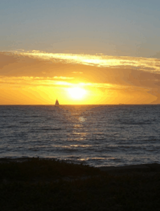 Kidogo Arthouse - Maitland Accommodation 1