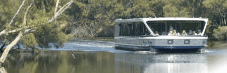 Captain Cook Cruises - Maitland Accommodation 2