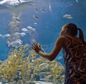 The Aquarium of Western Australia - Maitland Accommodation