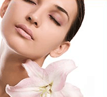 Stephanies Spa Retreat - Maitland Accommodation