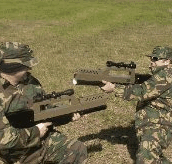 Logan Laser Skirmish - Maitland Accommodation