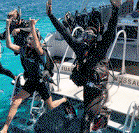 Snorkel Safari Brisbane - Maitland Accommodation