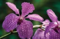 Richmond Wellness Centre - Maitland Accommodation 2