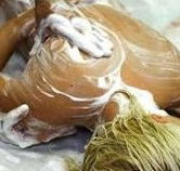 Exotique Massage - Maitland Accommodation
