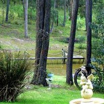 Gain Life Healing Health Retreat - Maitland Accommodation 2