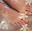 Orchid Day Spa - Maitland Accommodation