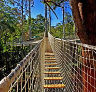 Thunderbird Park - Maitland Accommodation