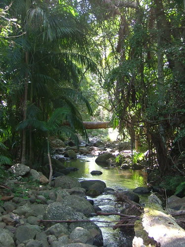 Thunderbird Park - Maitland Accommodation 2