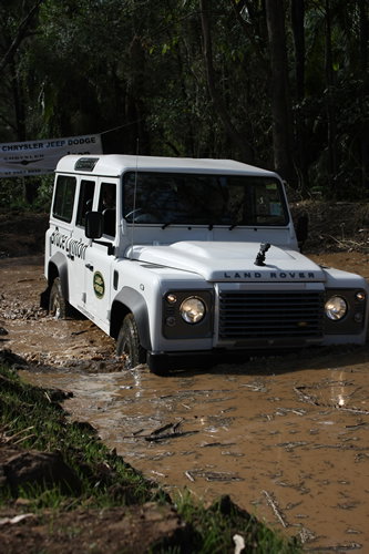 Thunderbird Park - Maitland Accommodation 3