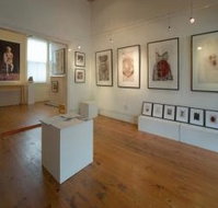 Bird's Gallery - Maitland Accommodation