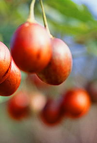  Maitland Accommodation