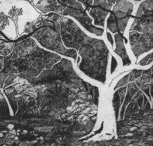 Tacit Contemporary Art - Maitland Accommodation