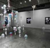 Nellie Castan Gallery - Maitland Accommodation