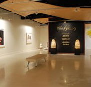 Counihan Gallery In Brunswick - Maitland Accommodation