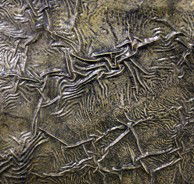 Hawthorn East VIC Maitland Accommodation