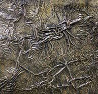 Hawthorn Studio  Gallery - Maitland Accommodation