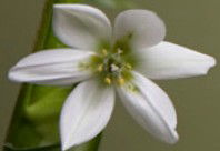 Soul Treat - Maitland Accommodation 2