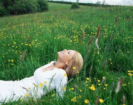 ANEW YOU Mind - Body Solutions - Maitland Accommodation 0