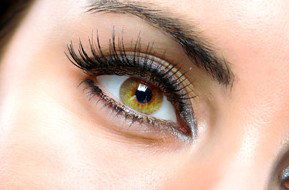 Beauty On Ryrie - Maitland Accommodation 1