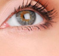 Cinnamon Stix Hair  Day Spa - Maitland Accommodation