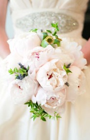 Karralyka Centre - Maitland Accommodation 3