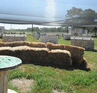 We Are Paintball - Maitland Accommodation