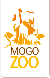 Mogo Zoo - Maitland Accommodation 0