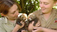Mogo Zoo - Maitland Accommodation 3
