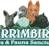 Wirrimbirra Sanctuary - Maitland Accommodation