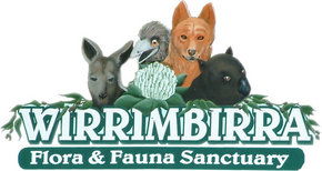 Wirrimbirra Sanctuary - Maitland Accommodation 0