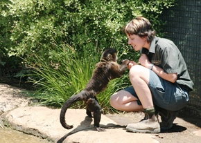 National Zoo & Aquarium - Maitland Accommodation 1