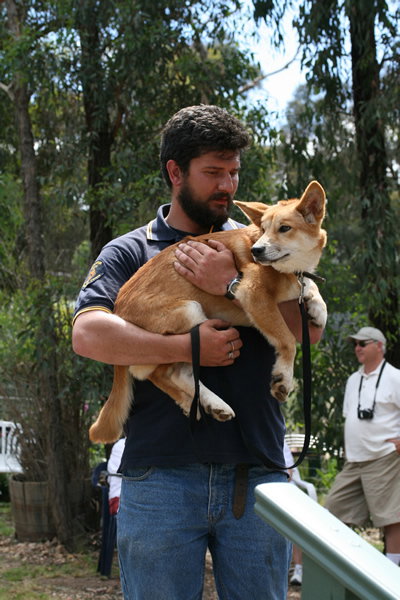 Jirrahlinga Koala & Wildlife Sanctuary - Maitland Accommodation 2