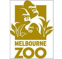 Melbourne Zoo - Maitland Accommodation