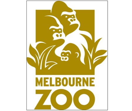 Melbourne Zoo - Maitland Accommodation 0