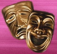 Nu Show - Maitland Accommodation