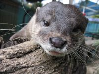 Underwater World - Maitland Accommodation 1
