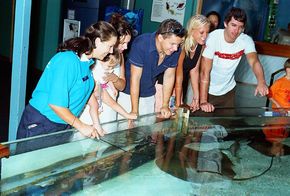 Underwater World - Maitland Accommodation 3